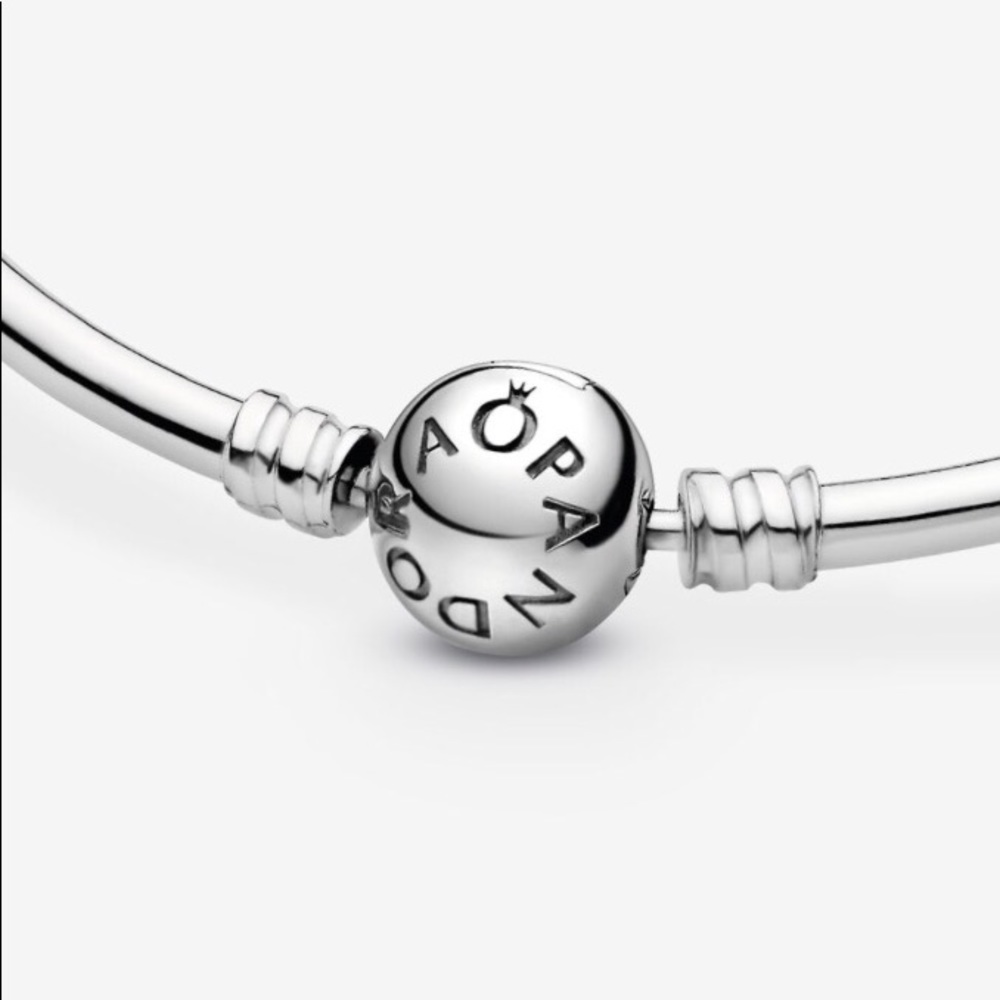 Sterling Silver Pandora Bracelet - Picture 2 of 12